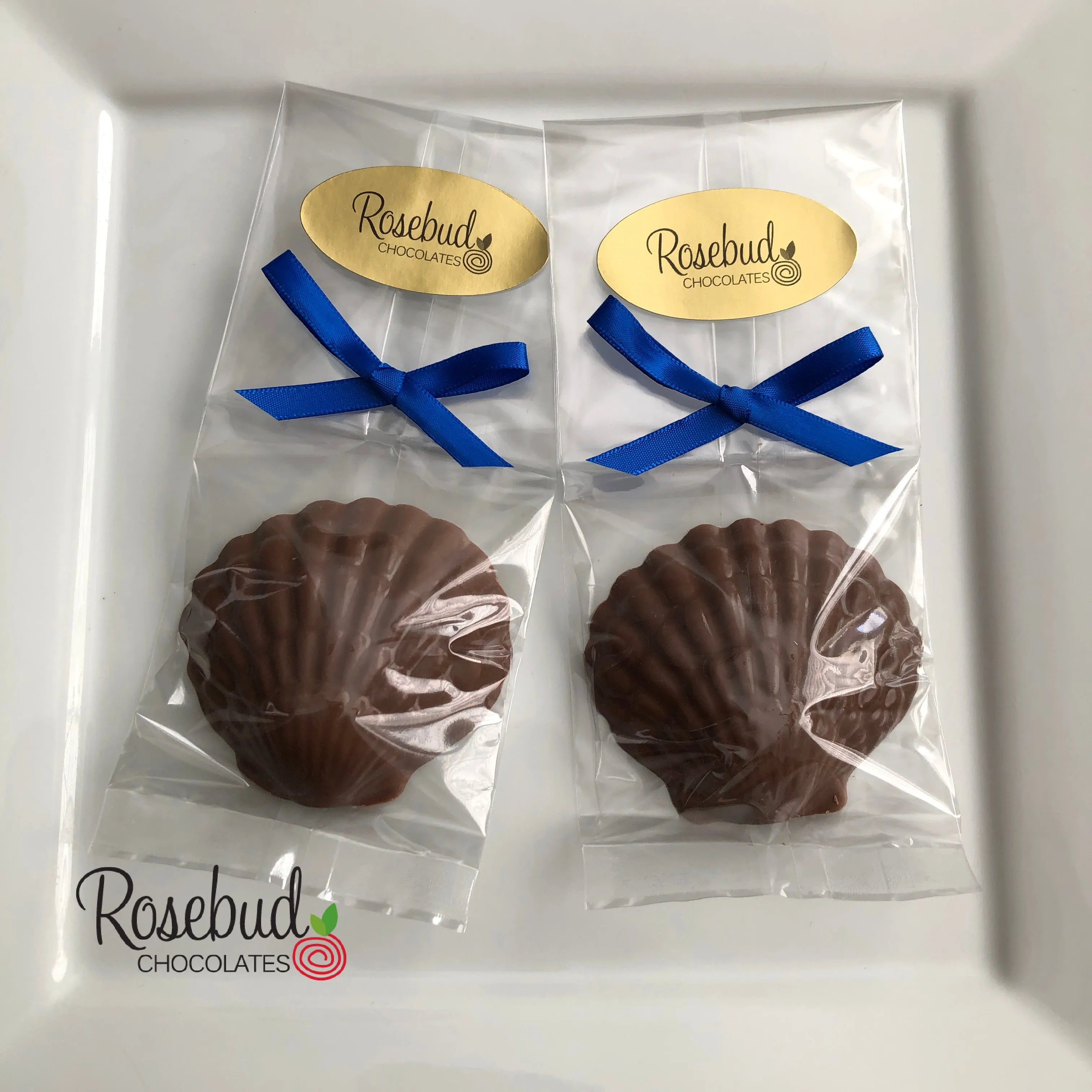12 SEASHELL Chocolate Candy Party Favors