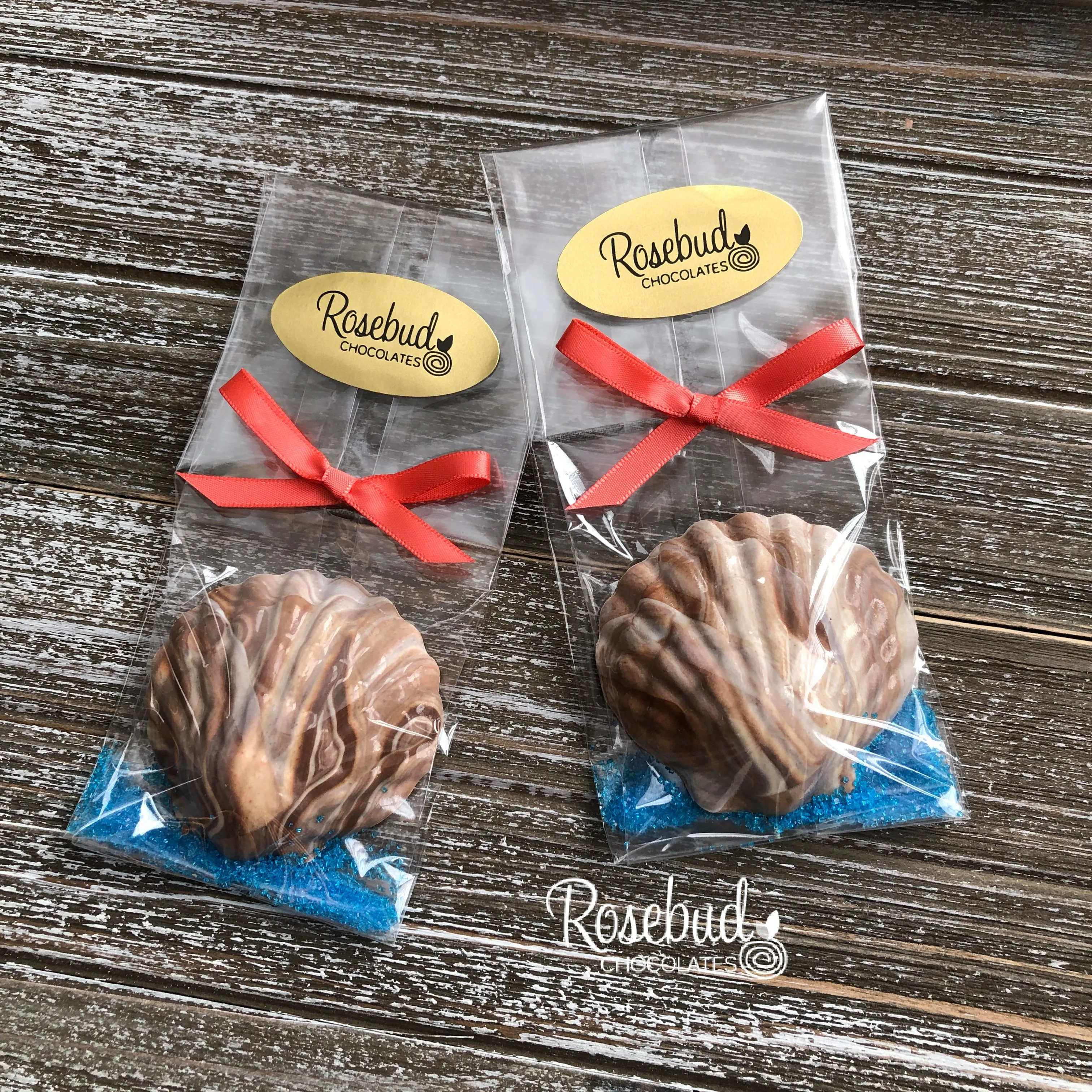 12 SEASHELL Chocolate Candy Party Favors