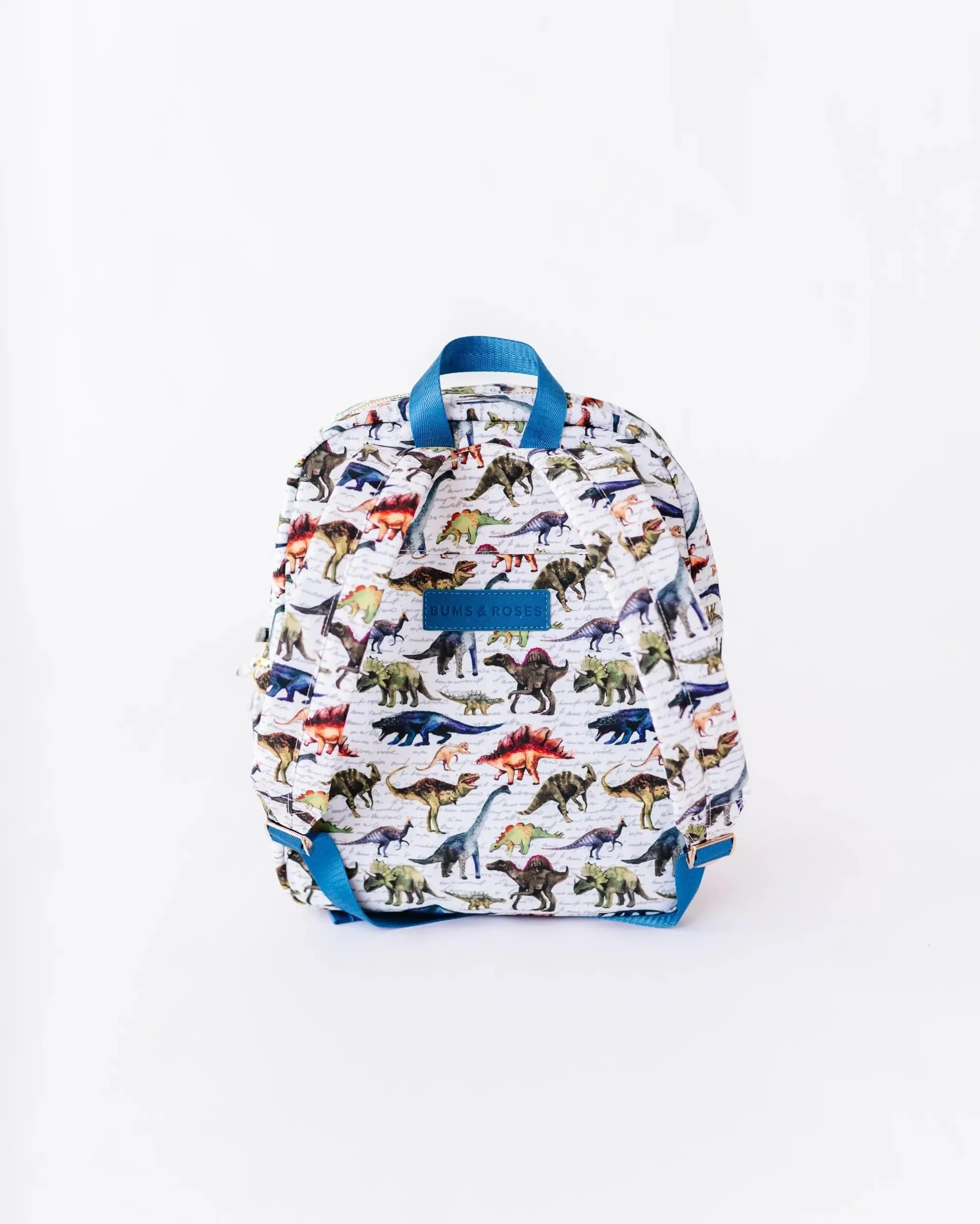 Dinomite Toddler Backpack