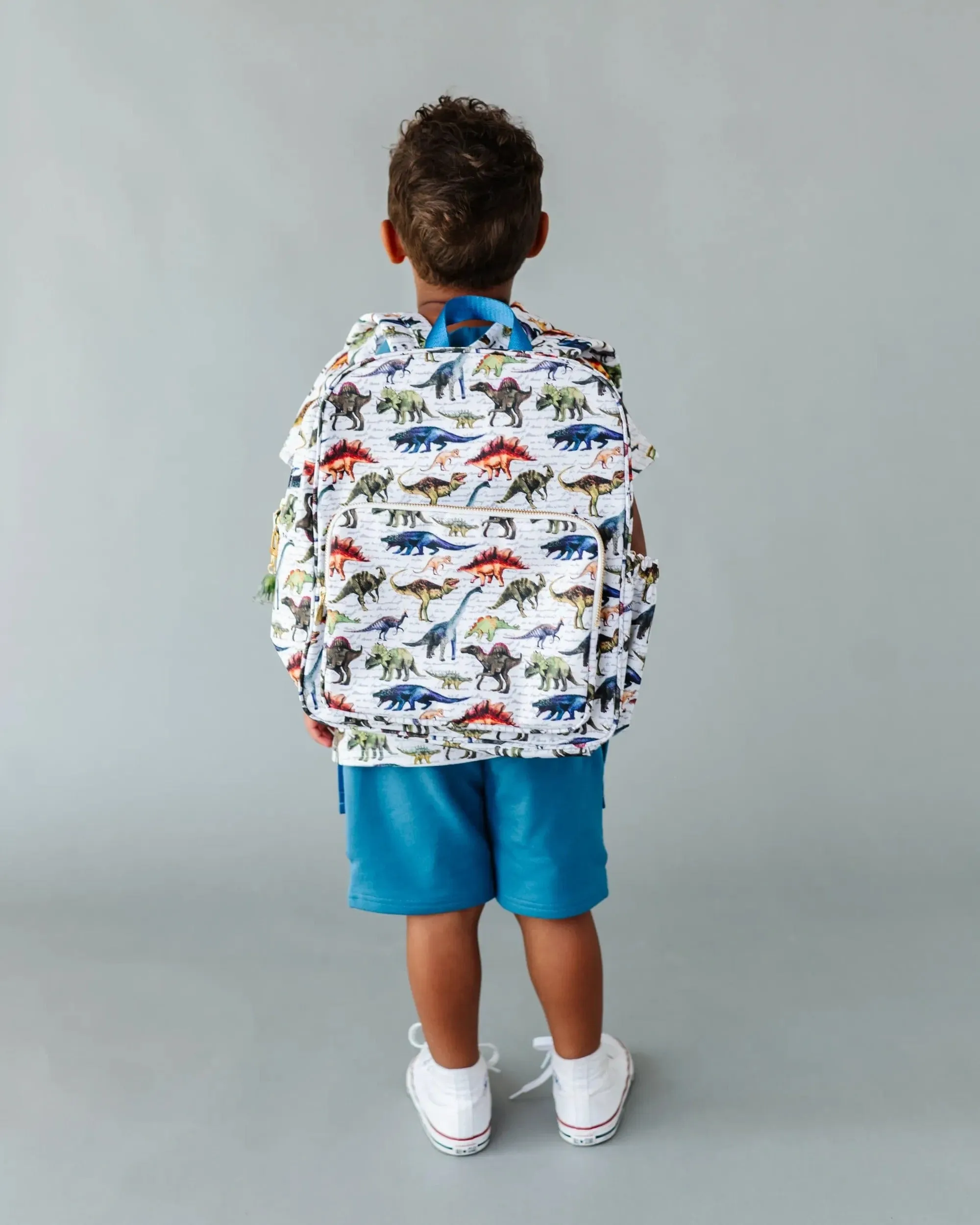Dinomite Toddler Backpack