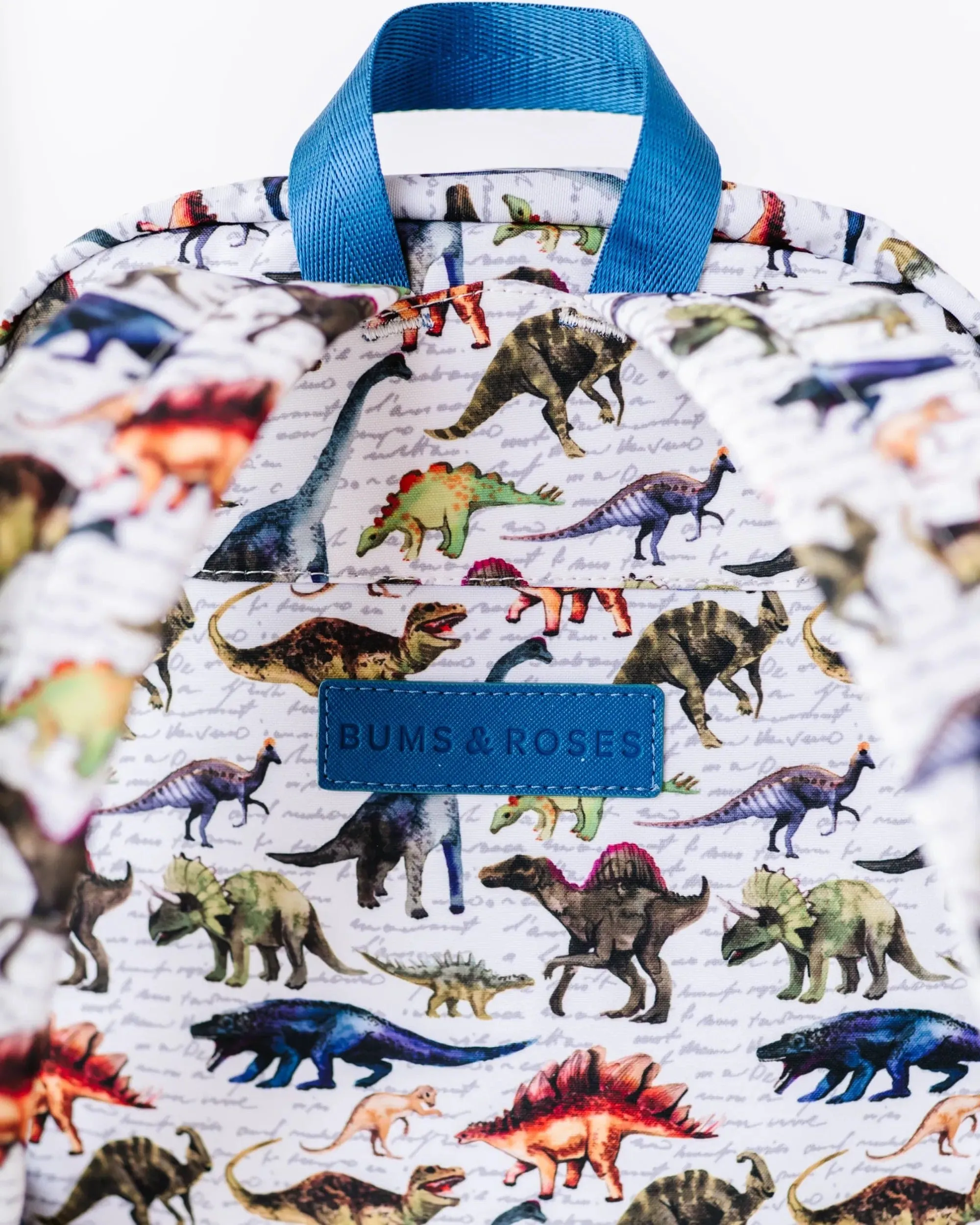 Dinomite Toddler Backpack
